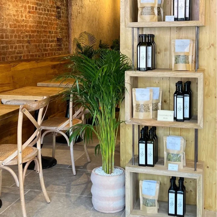 Zega — laptop-friendly cafe